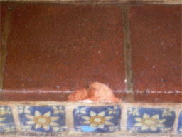 Spanish Tile