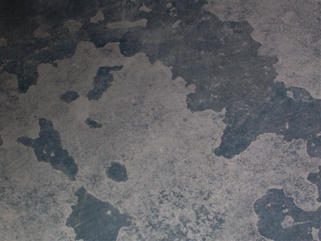 Restored Concrete Floor